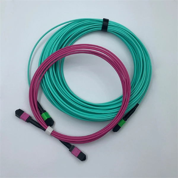 Passive optical networks P2P are a type of network based on a peer-to-peer topology 